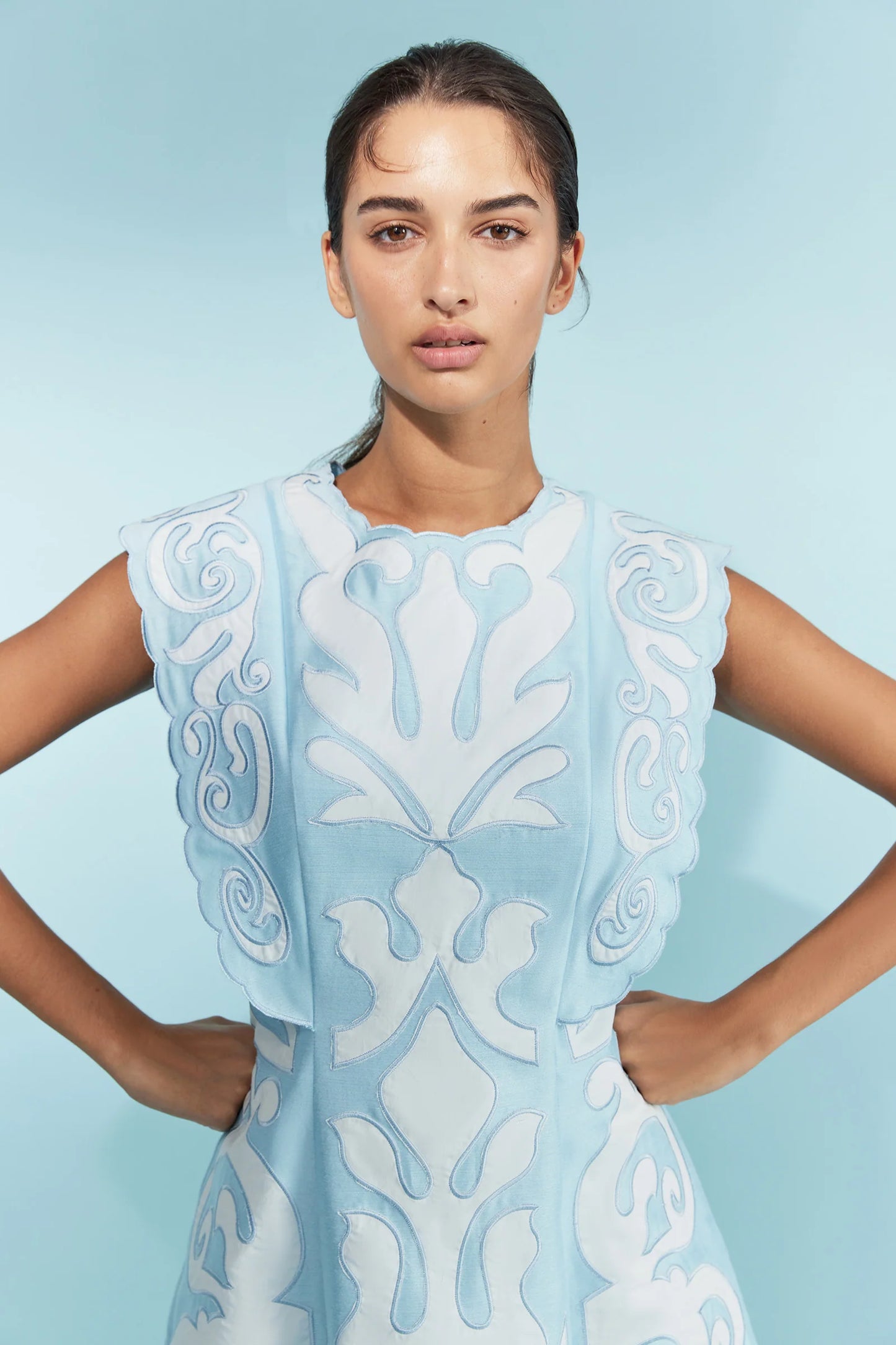 Antipodean YVE A-Line Mini Dress WAS $745
