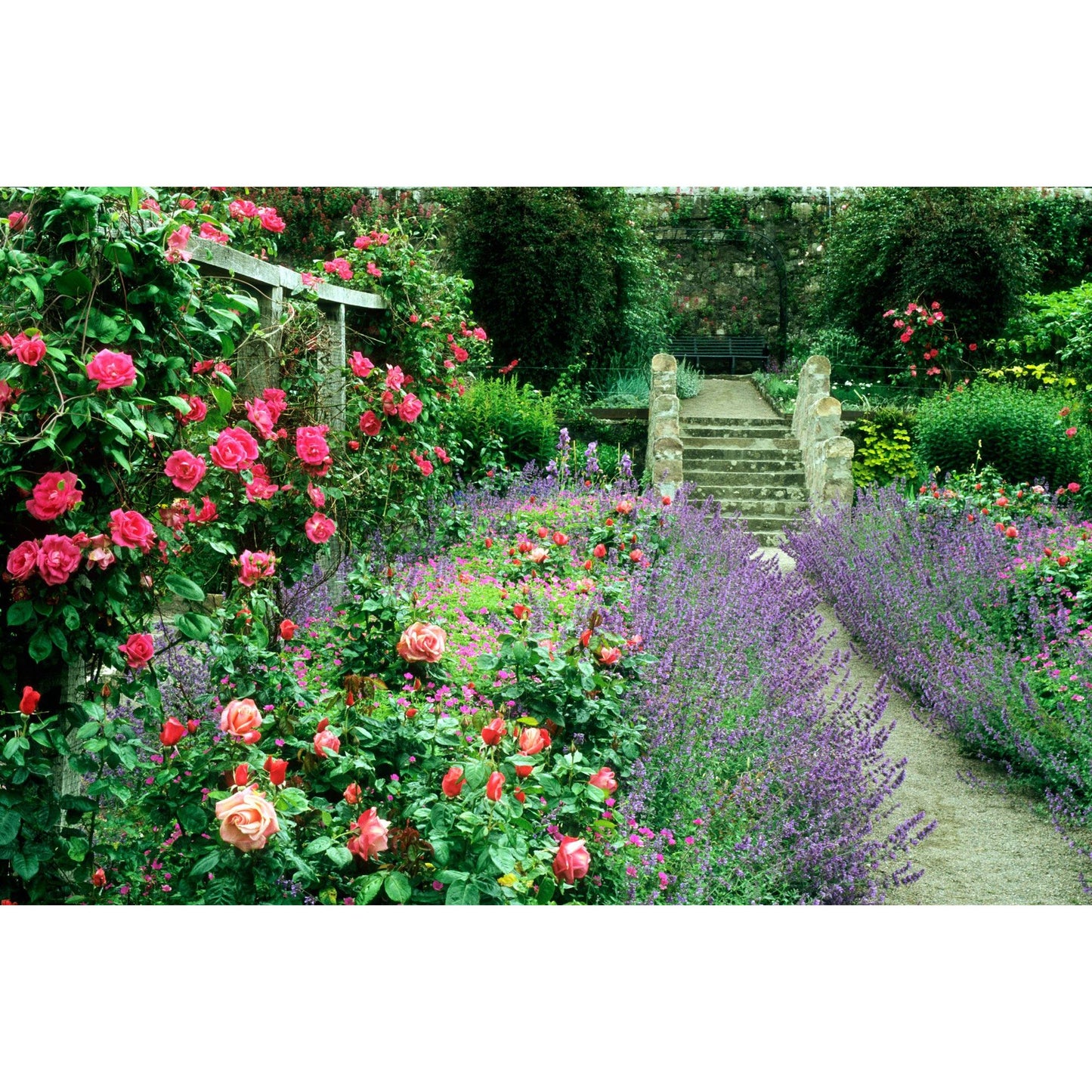 Country Style Gardens