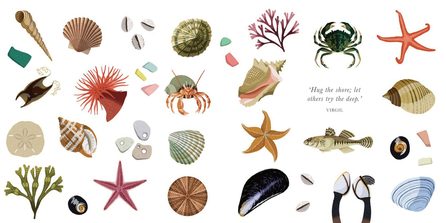 The Little Guide to Shorelines