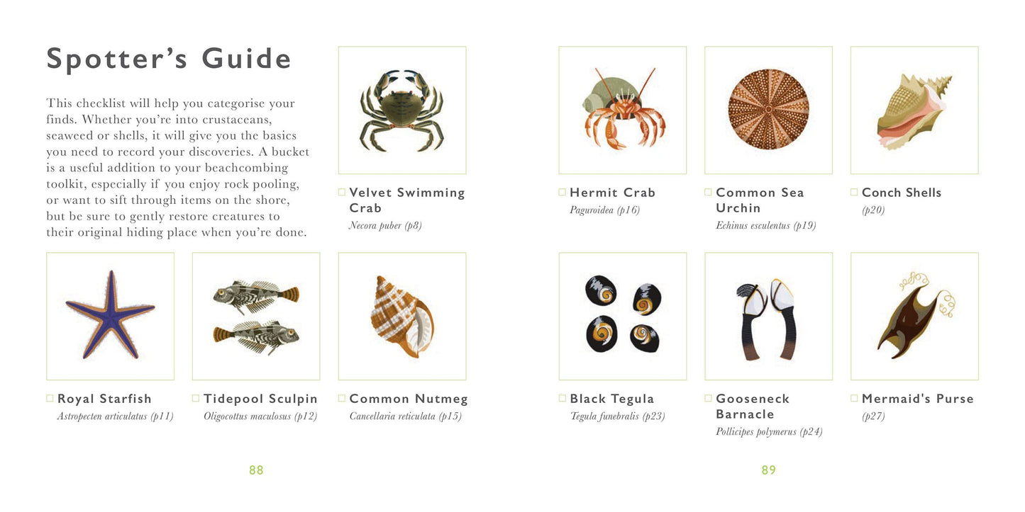 The Little Guide to Shorelines