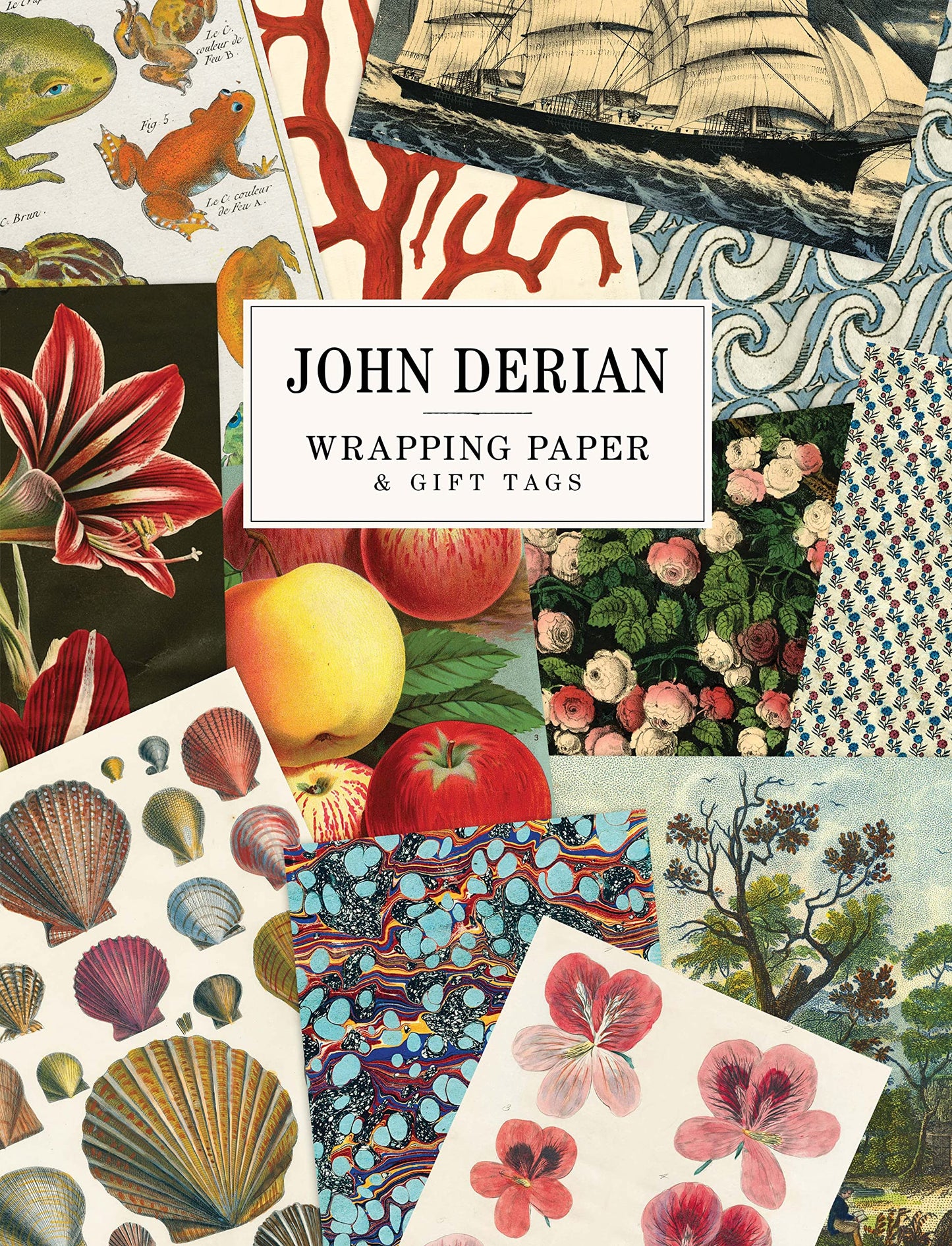 John Derian Wrapping Paper and Gift Tags