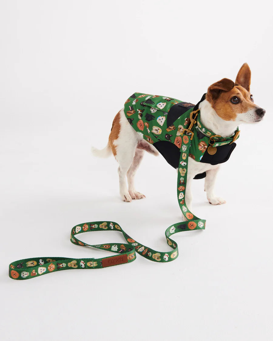Kip & Co Dog Lead
