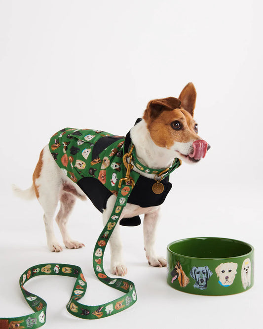 Kip & Co Dog Lead