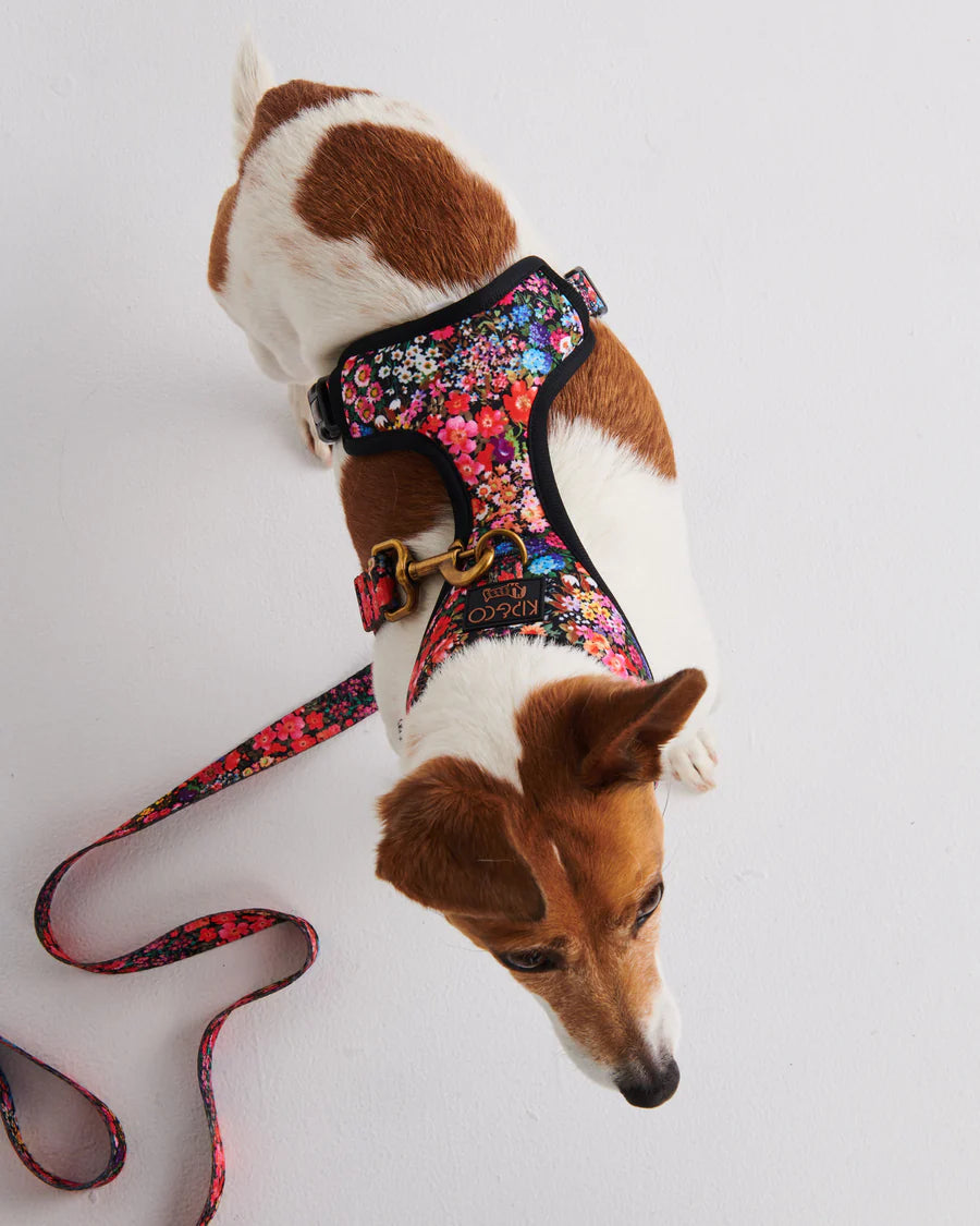 Kip & Co Dog Lead