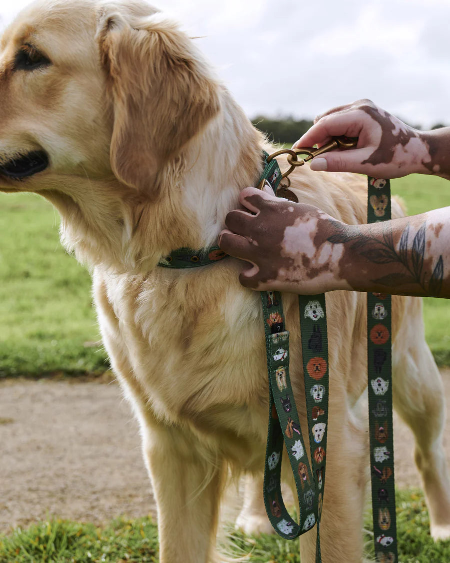 Kip & Co Dog Lead