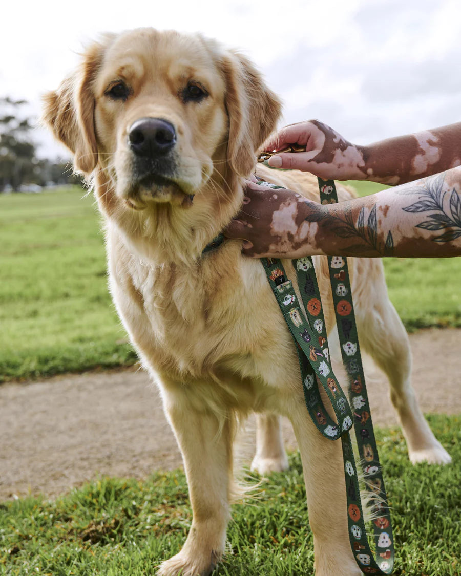 Kip & Co Dog Lead