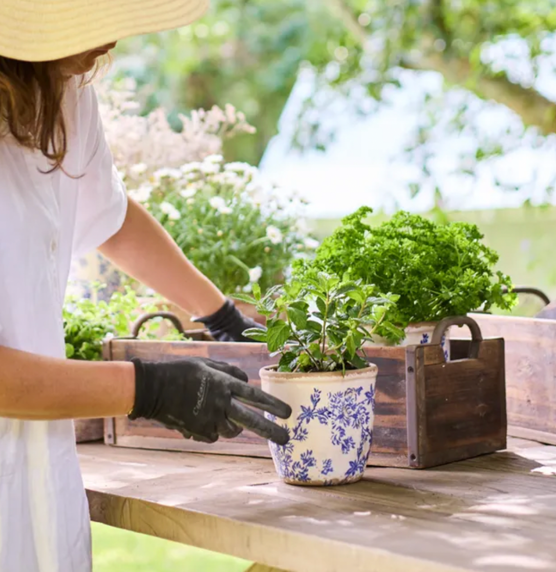 Blue Floral Herb Pot