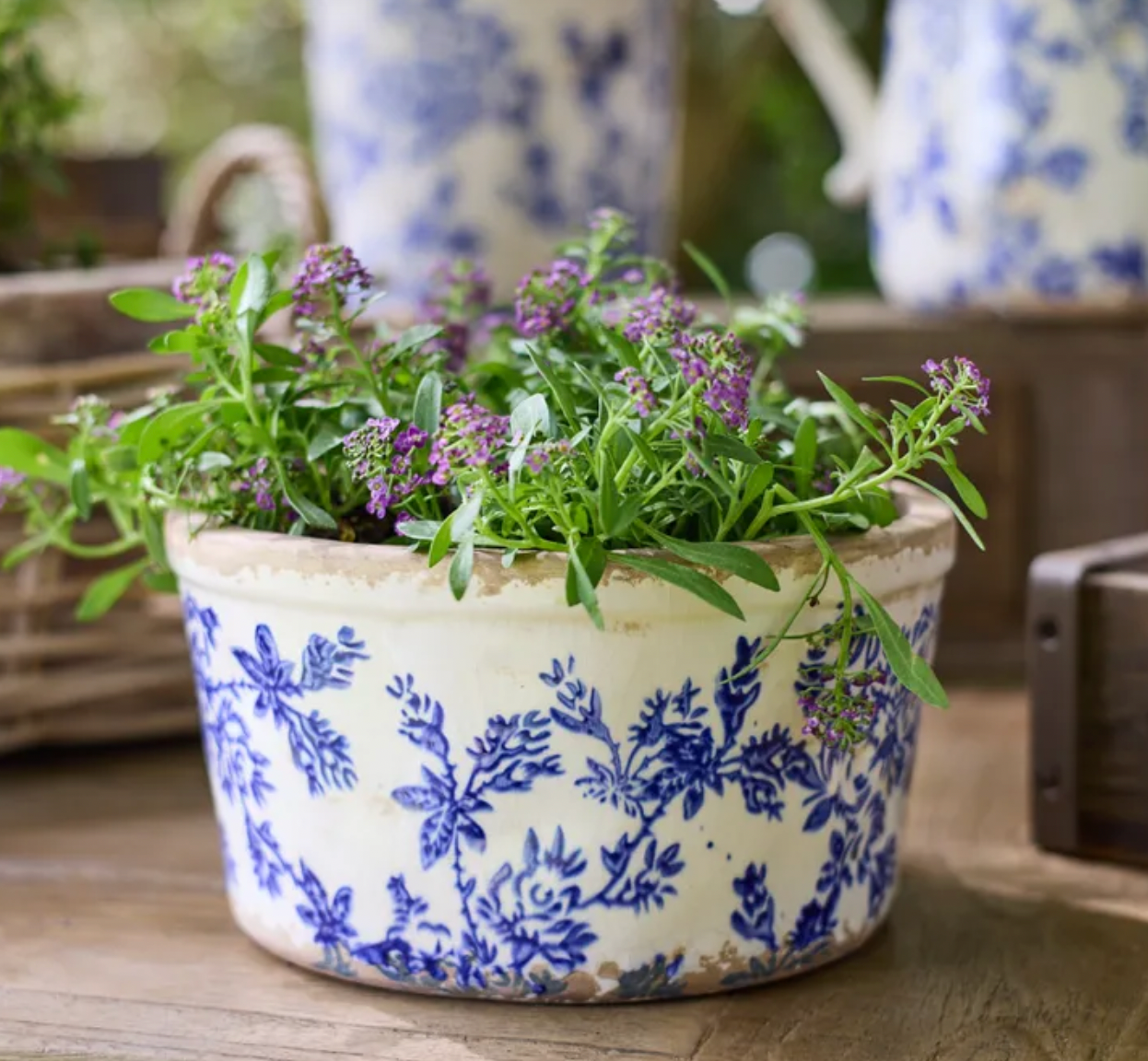 Blue Floral Wide Herb Pot