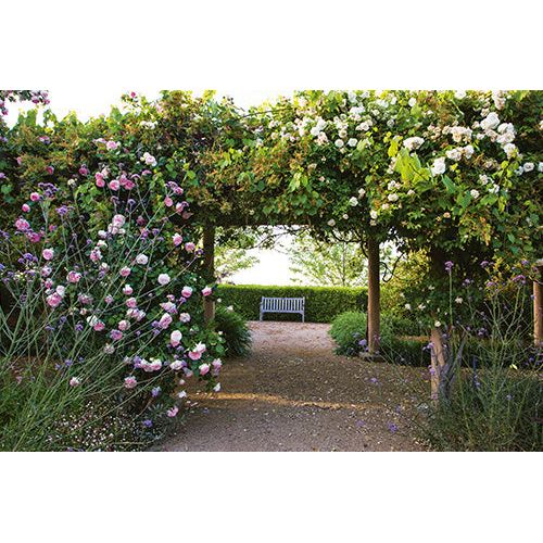 Country Style Gardens