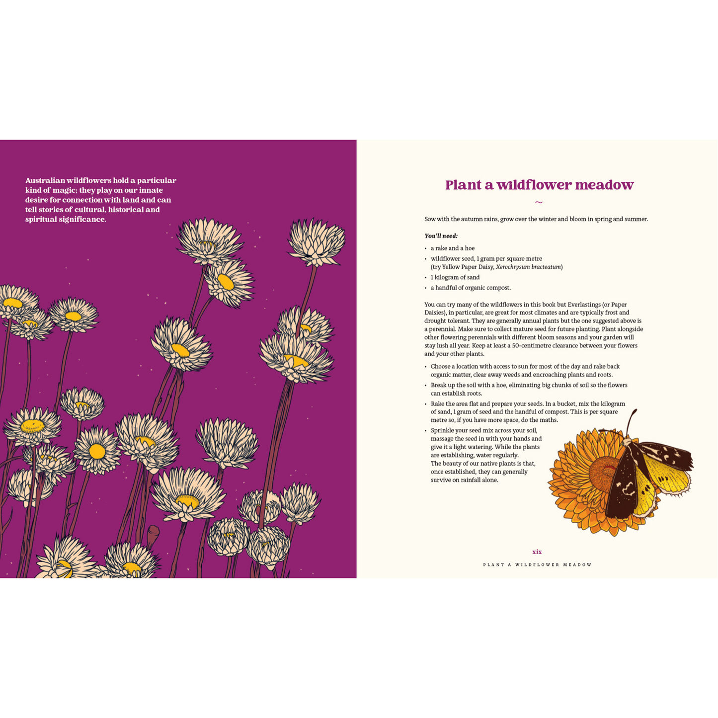 100 Australian Wildflowers by Mel Baxter