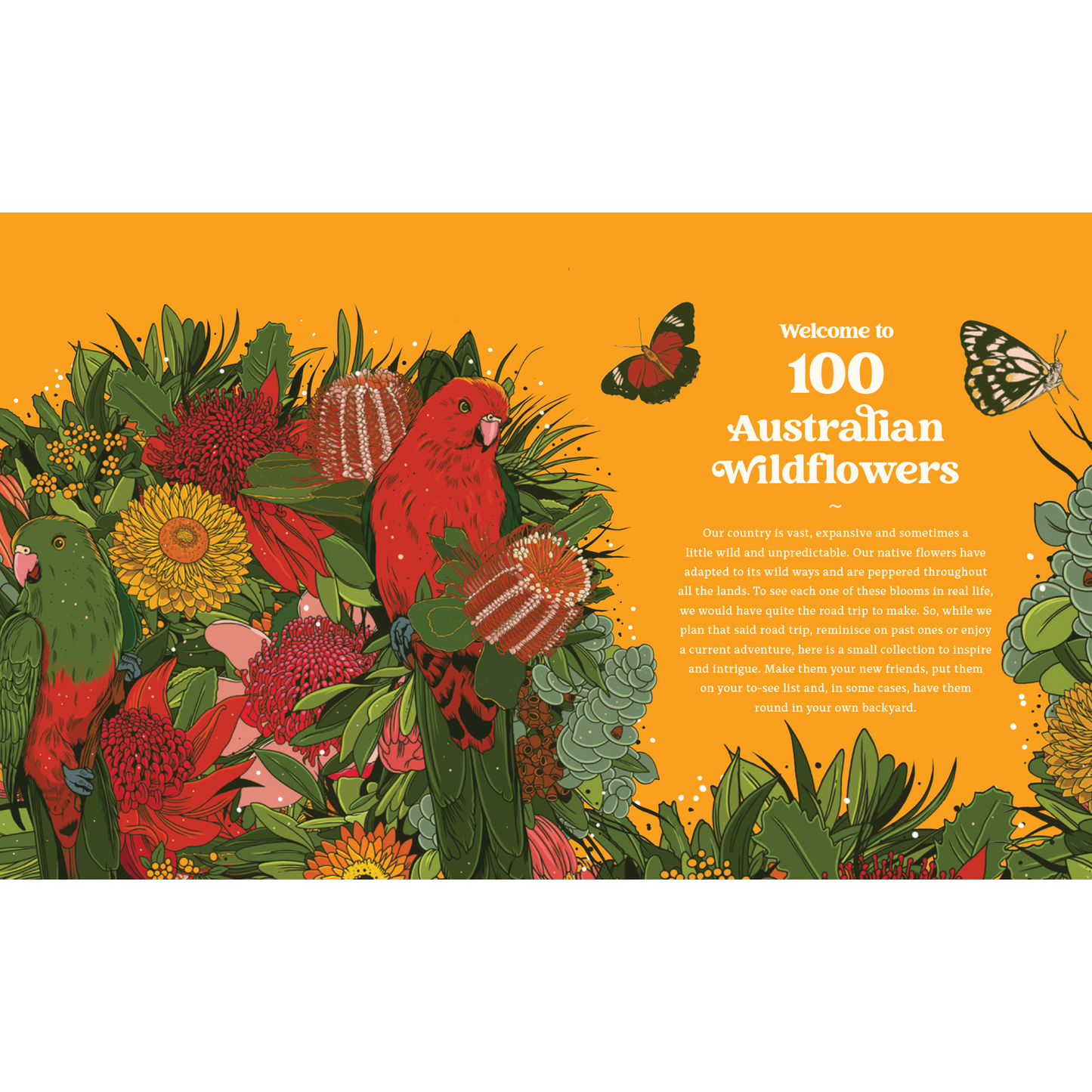 100 Australian Wildflowers by Mel Baxter