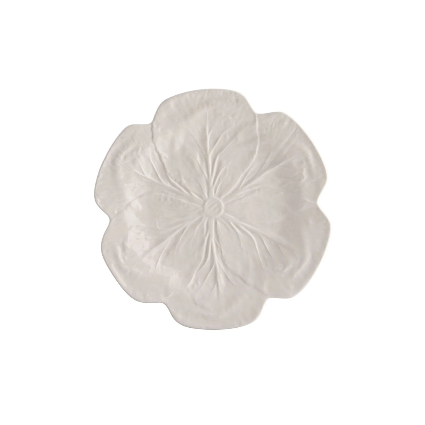 Cabbage Starter Plate