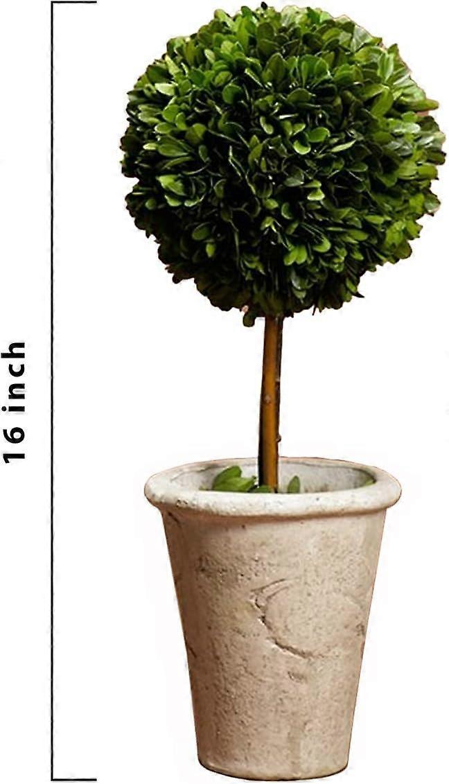 Preserved Boxwood Ball Topiary