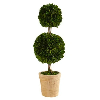 Preserved Boxwood Double Ball Topiary