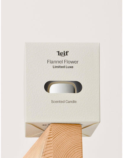 Leif Candle Limited Edition Silver Flannel Flower