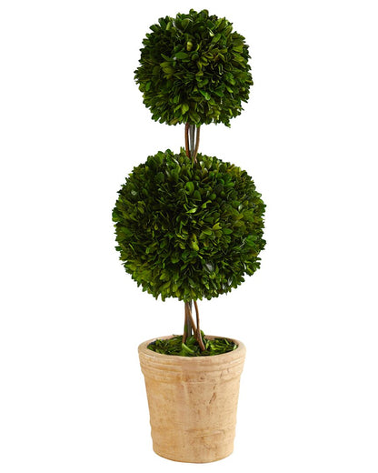 Preserved Boxwood Double Ball Topiary