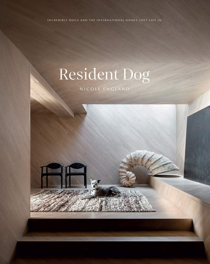 Resident Dog By Nicole England