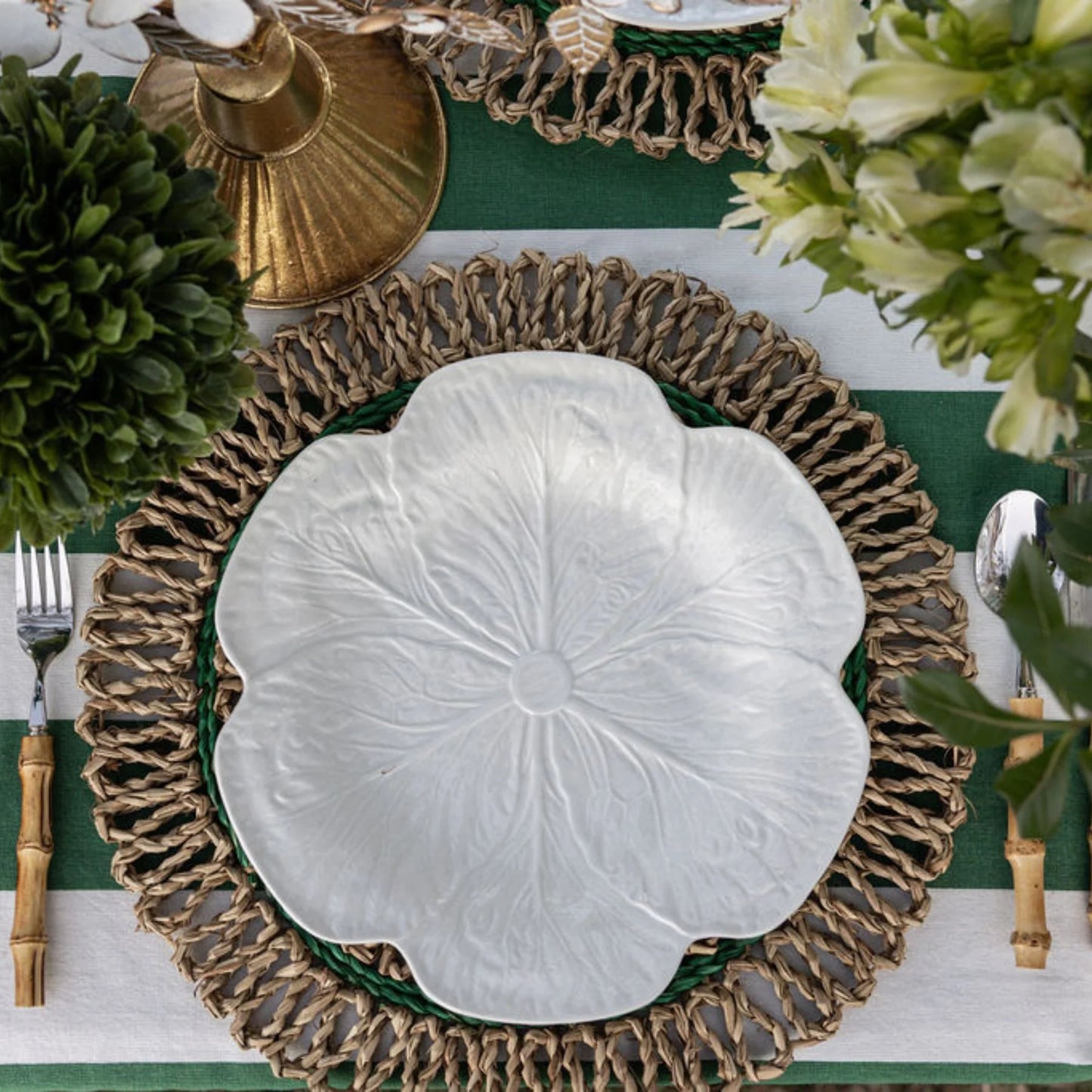 Cabbage Starter Plate