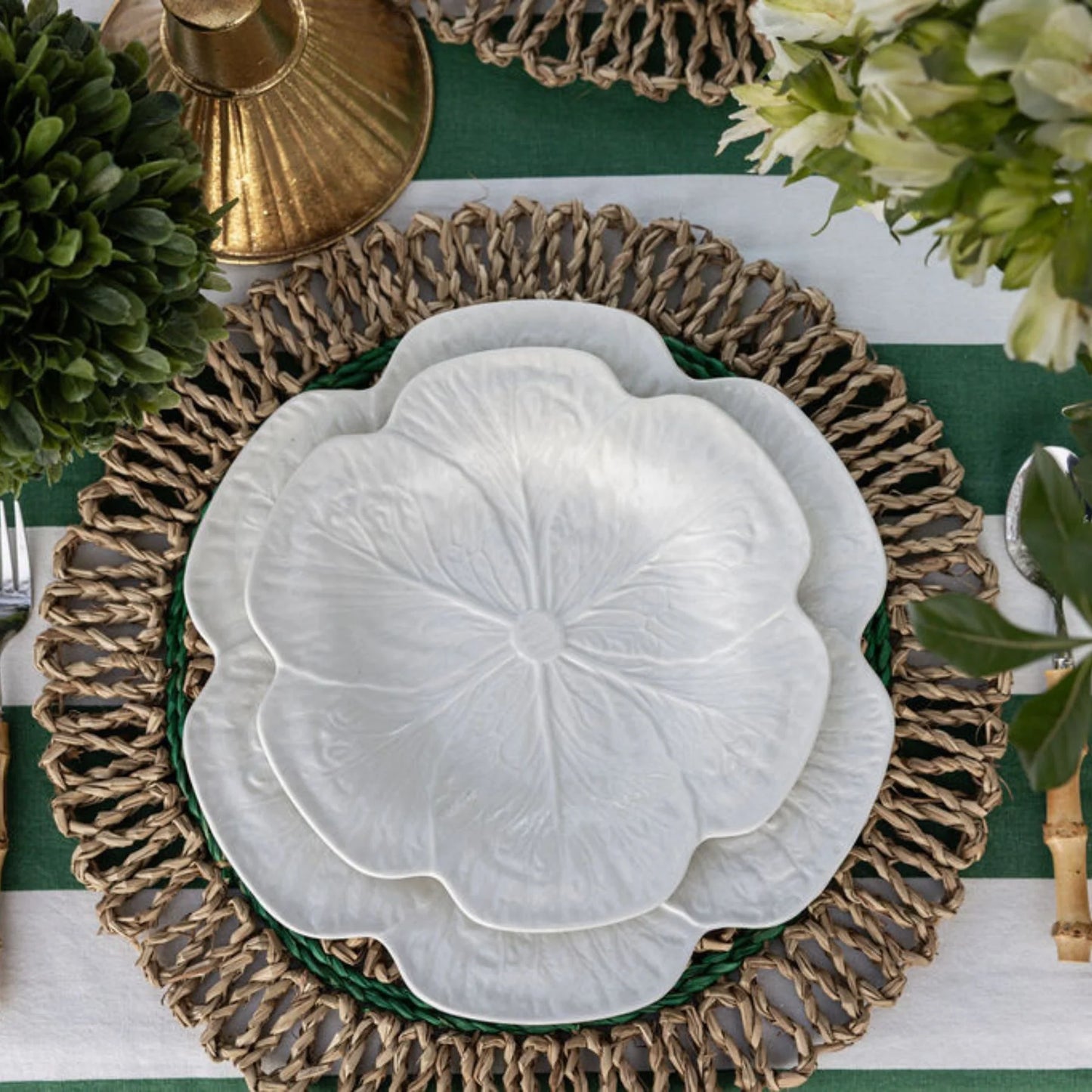 Cabbage Starter Plate