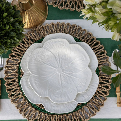 Cabbage Starter Plate