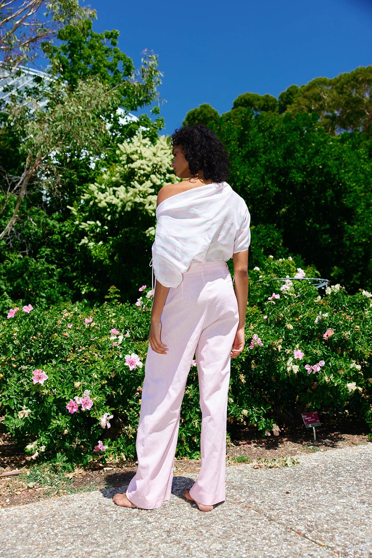 Aston Studio Ivy Pant