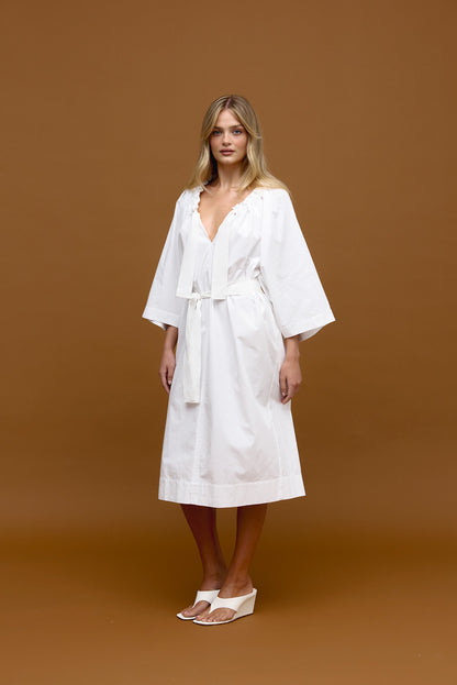 Binny Flushing Meadows Dress