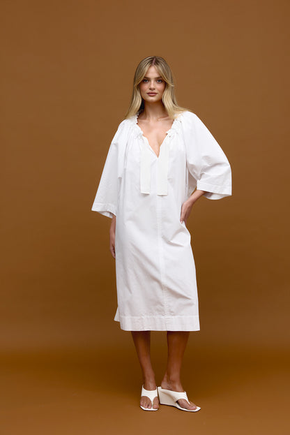 Binny Flushing Meadows Dress