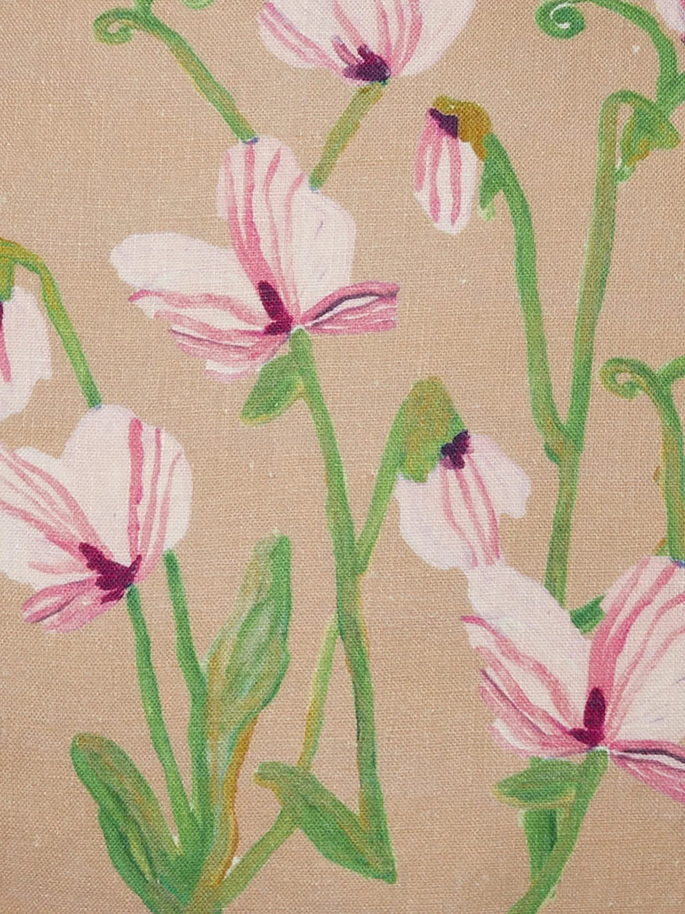 Bonnie & Neil Sweet Pea Buff Cushion