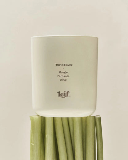 Leif Candle