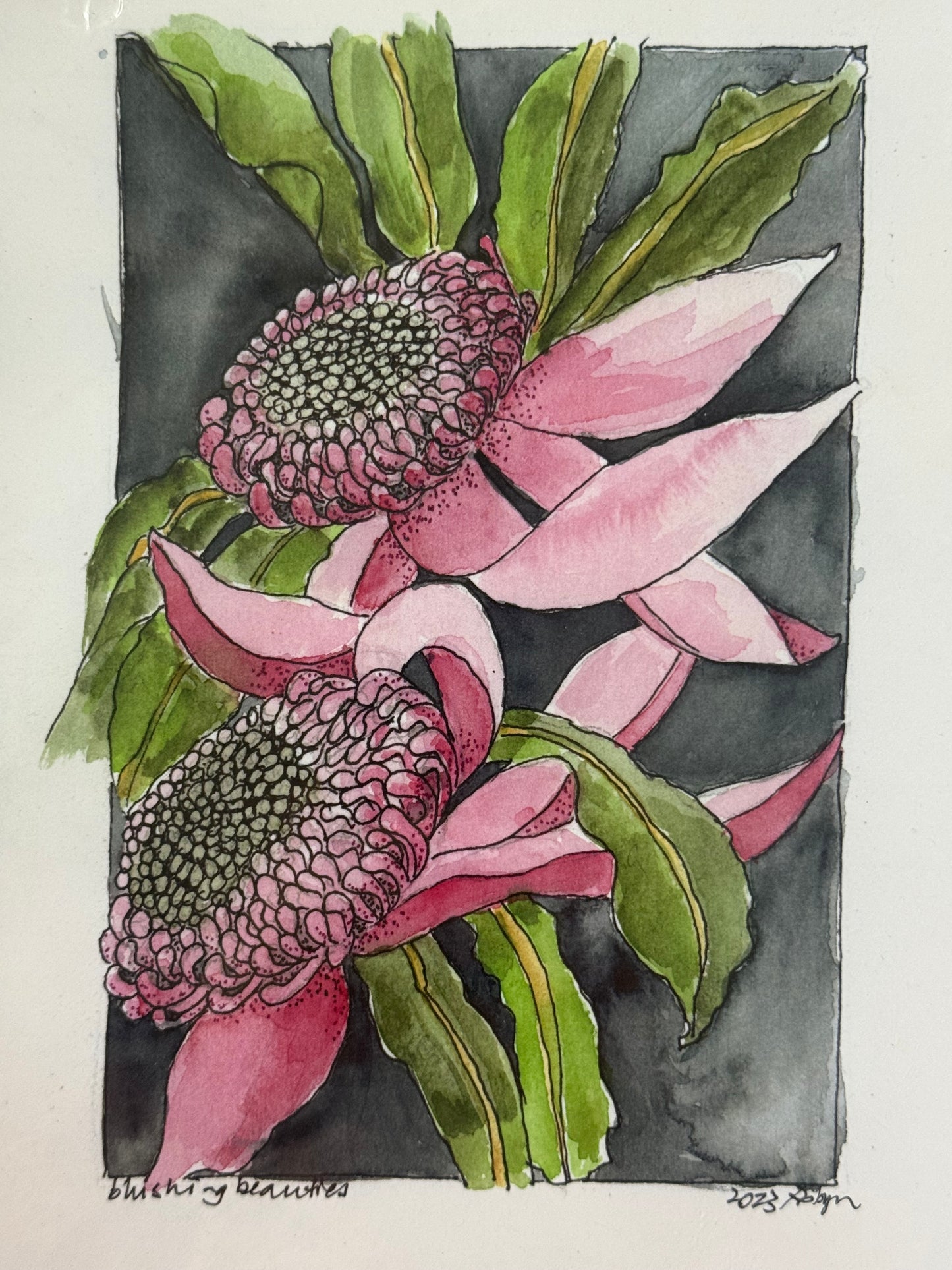 Robyn Beeston Blushing Beauties