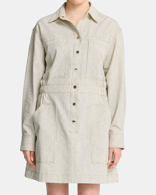 Arlington Dana Mini Dress