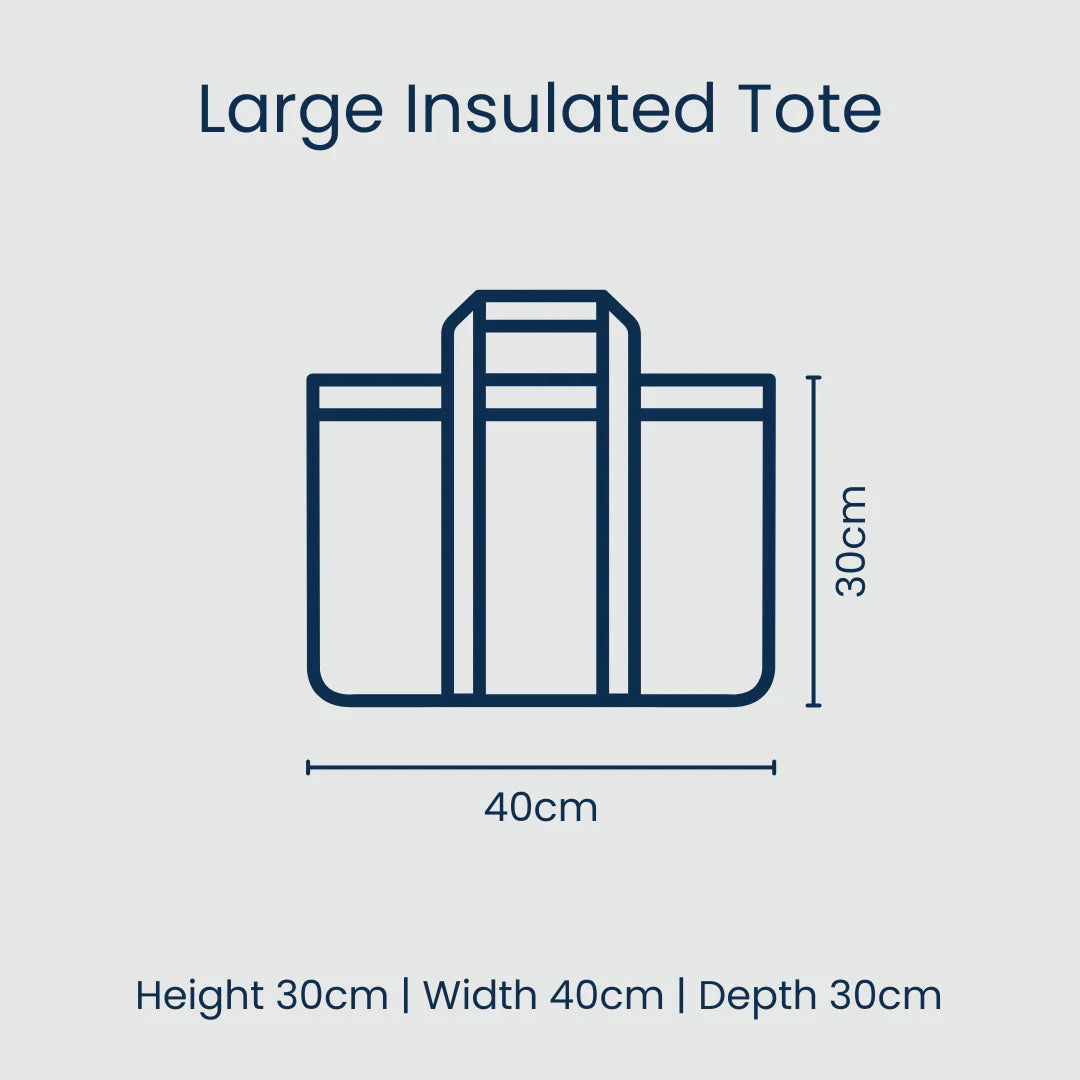Project Ten Large Insulated Tote