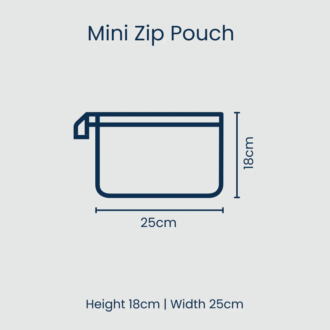 Project Ten Mini Zip Pouch