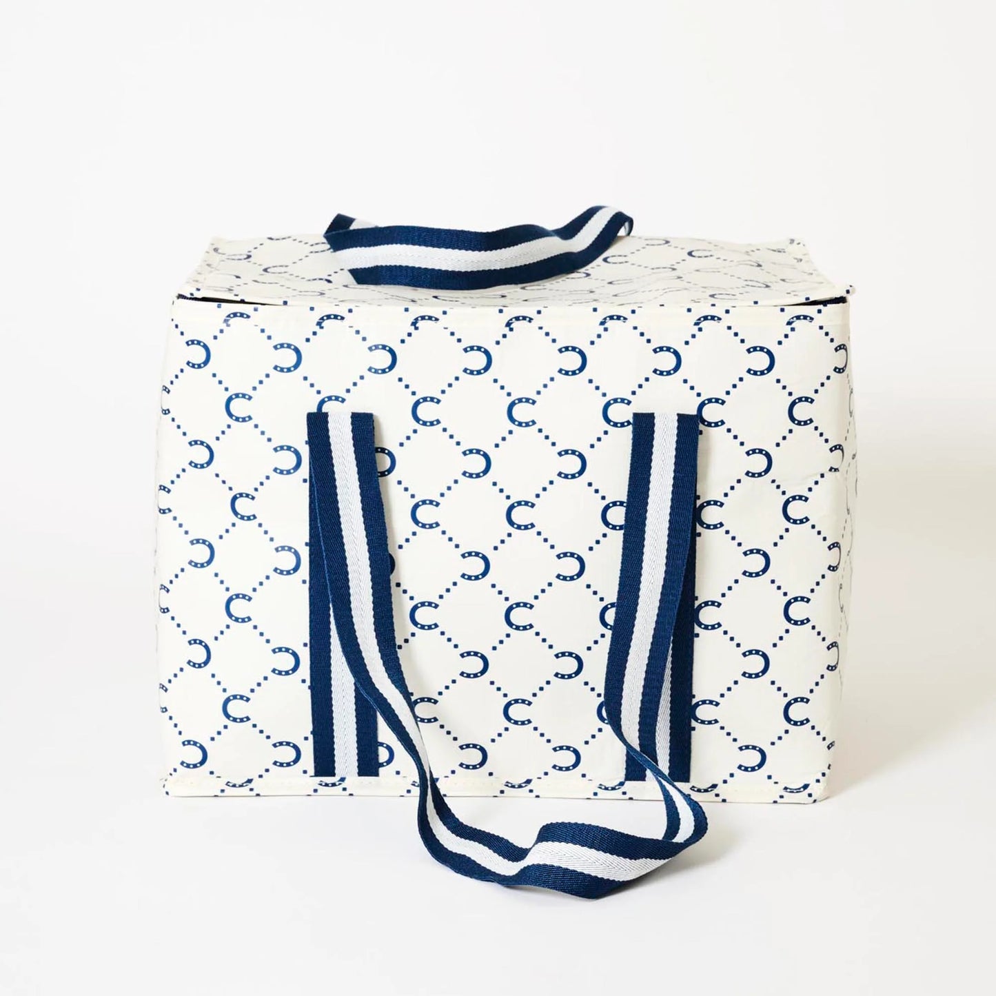 Project Ten Large Insulated Tote