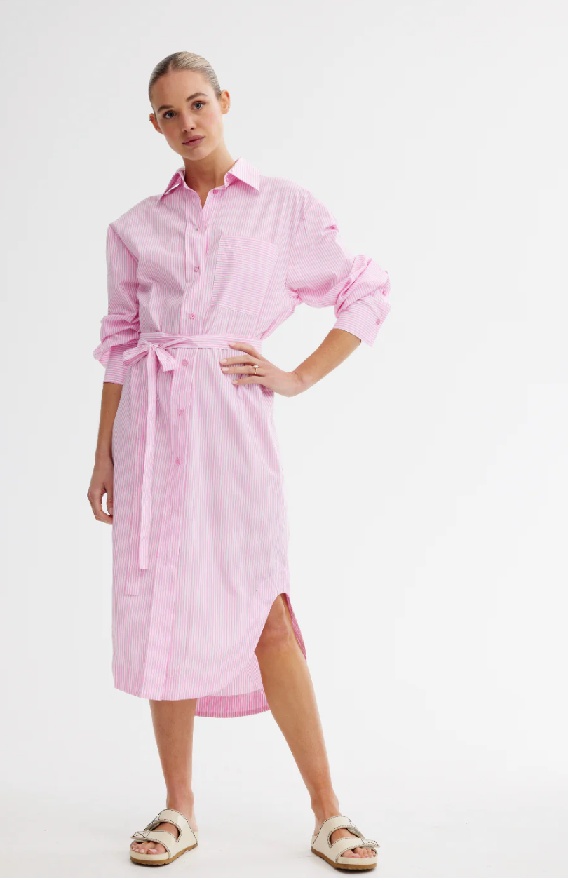 Aston Studio Billy Shirt Dress WAS $280