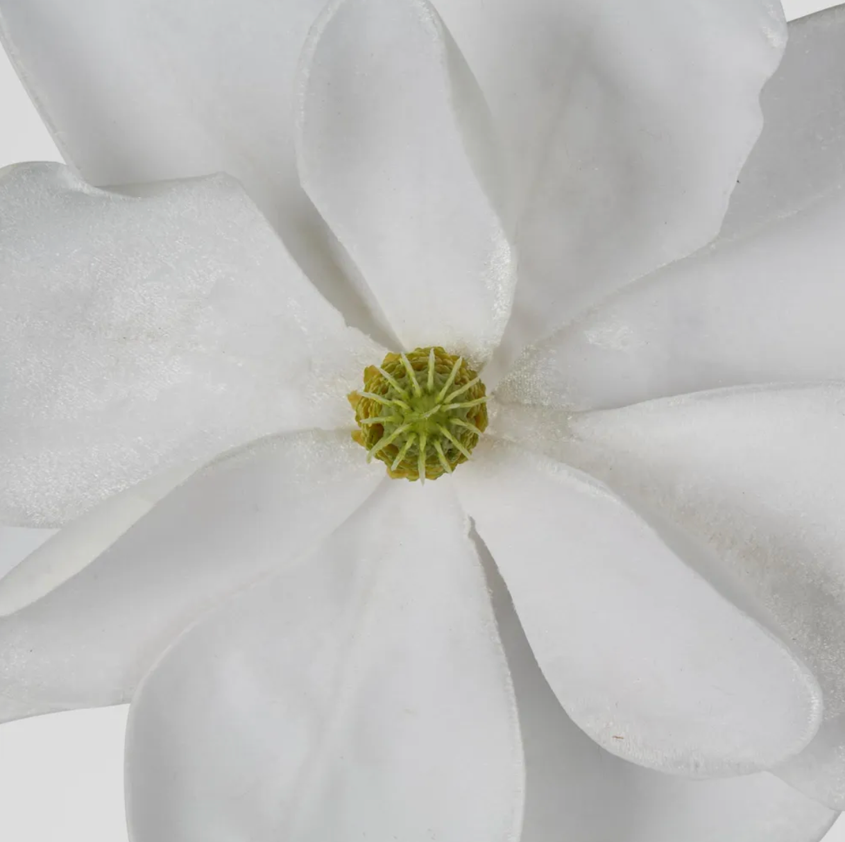 Grandiflora Clip On Velvet Magnolia Flower