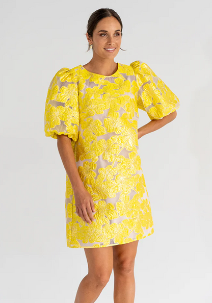 Arlington Milne Rochelle Mini Dress