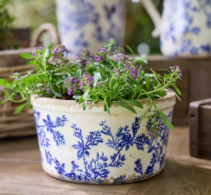 Blue Floral Wide Herb Pot