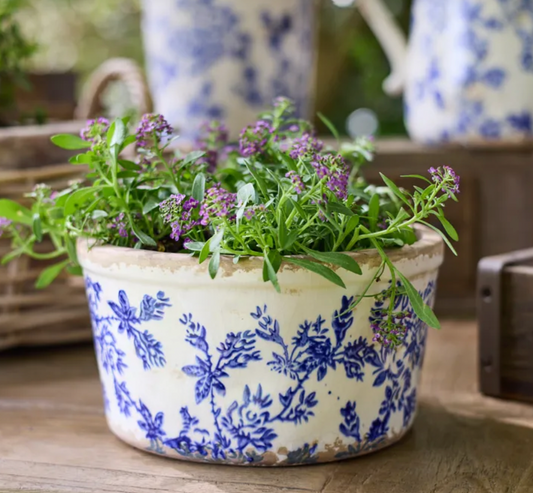 Blue Floral Wide Herb Pot