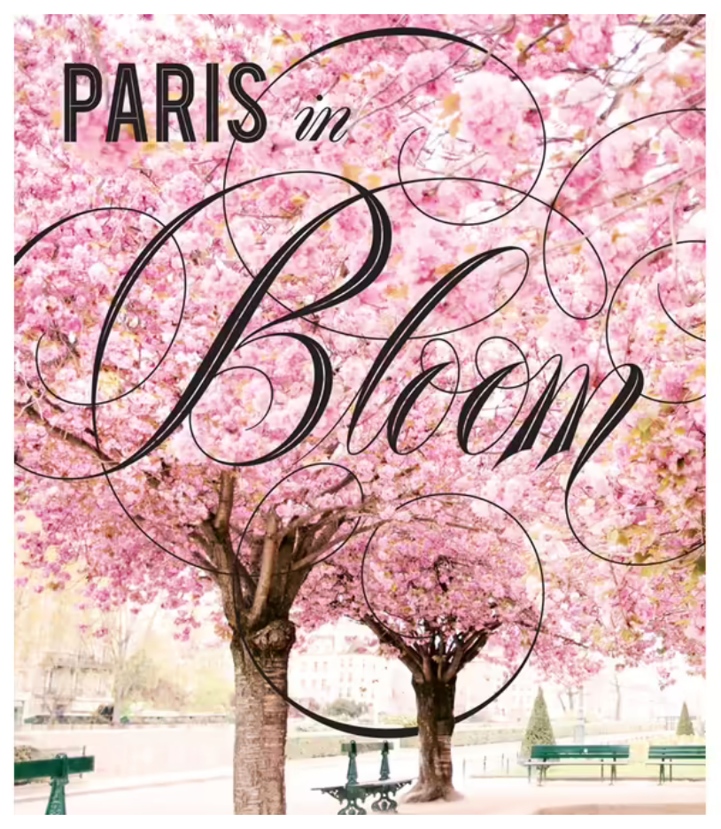 Paris in Bloom
