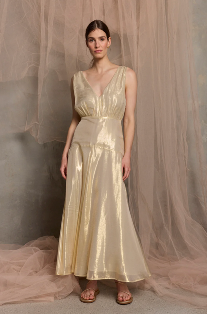 Viva Sleeveless Maxi dress