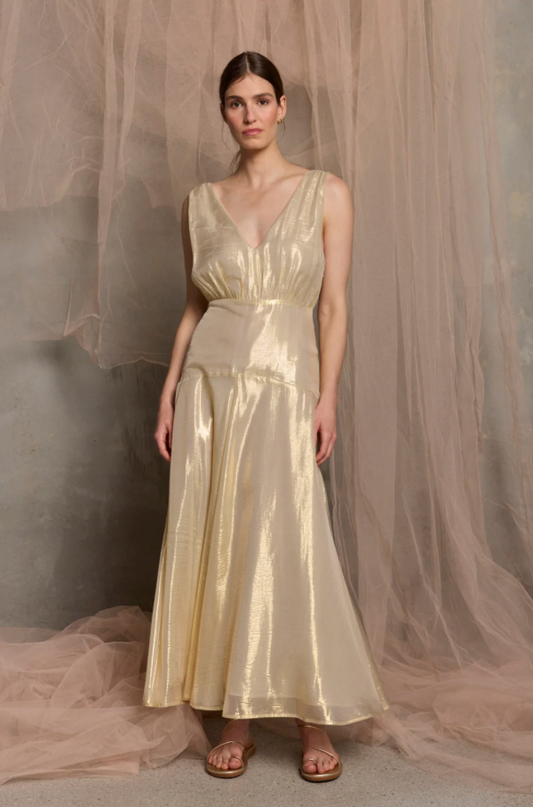 Viva Sleeveless Maxi dress