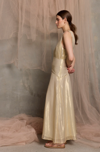 Viva Sleeveless Maxi dress