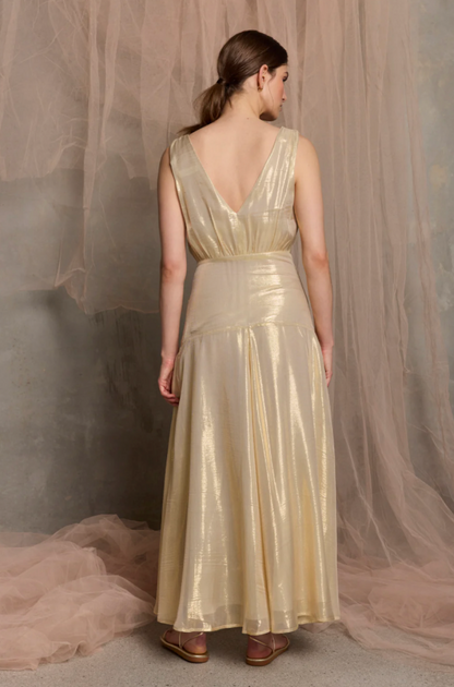 Viva Sleeveless Maxi dress