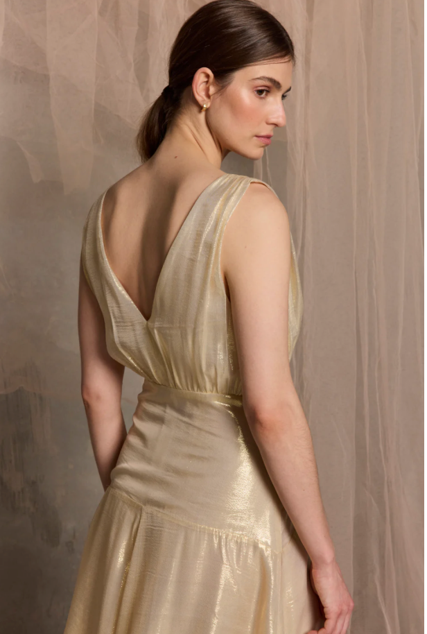 Viva Sleeveless Maxi dress