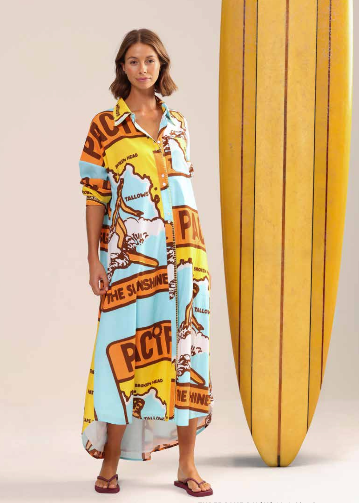 Binny Three Blue Ducks Dress