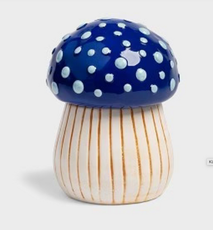 Magic Mushroom Jars