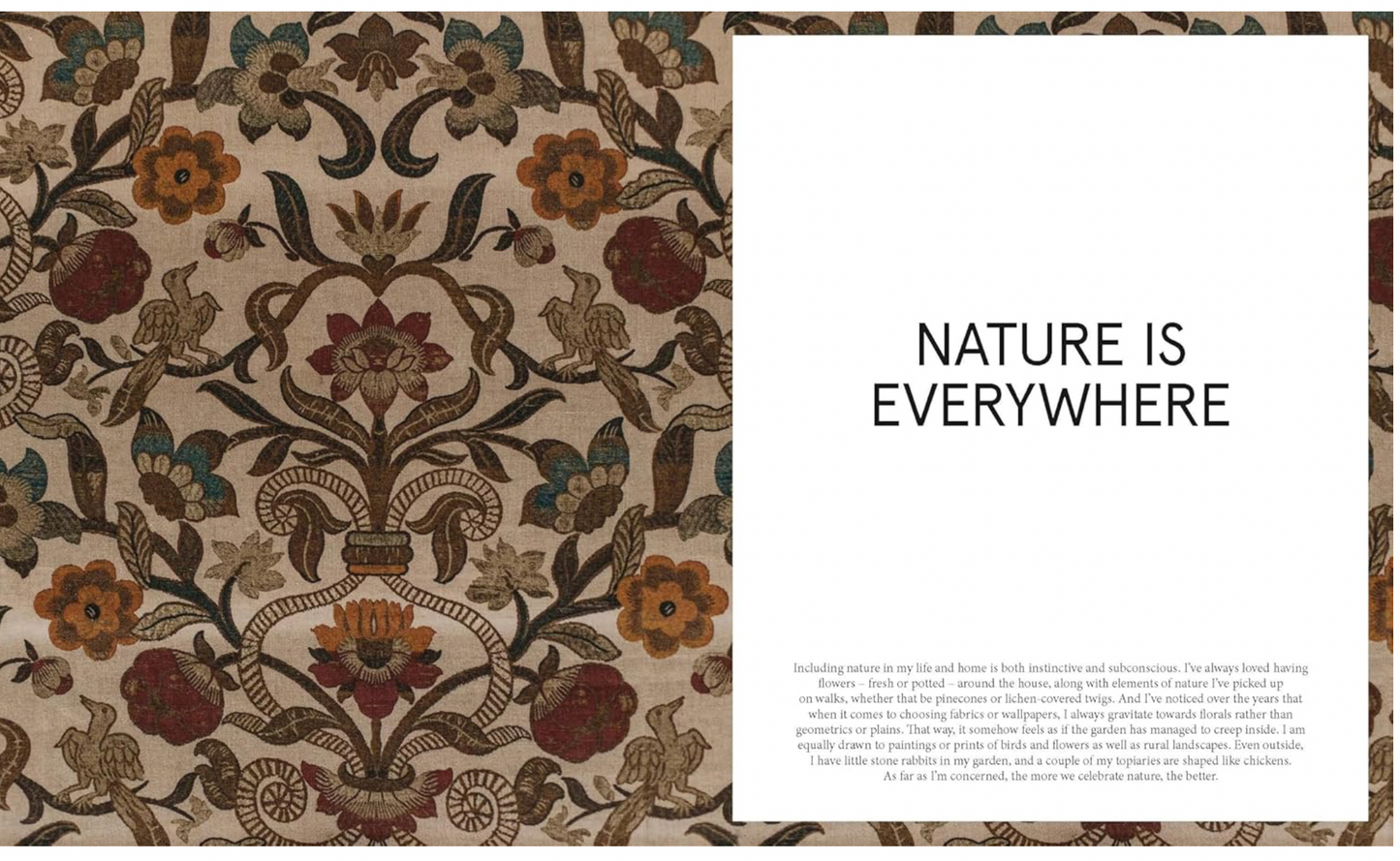 The Nature of Decorating by Jenny Rose-Innes
