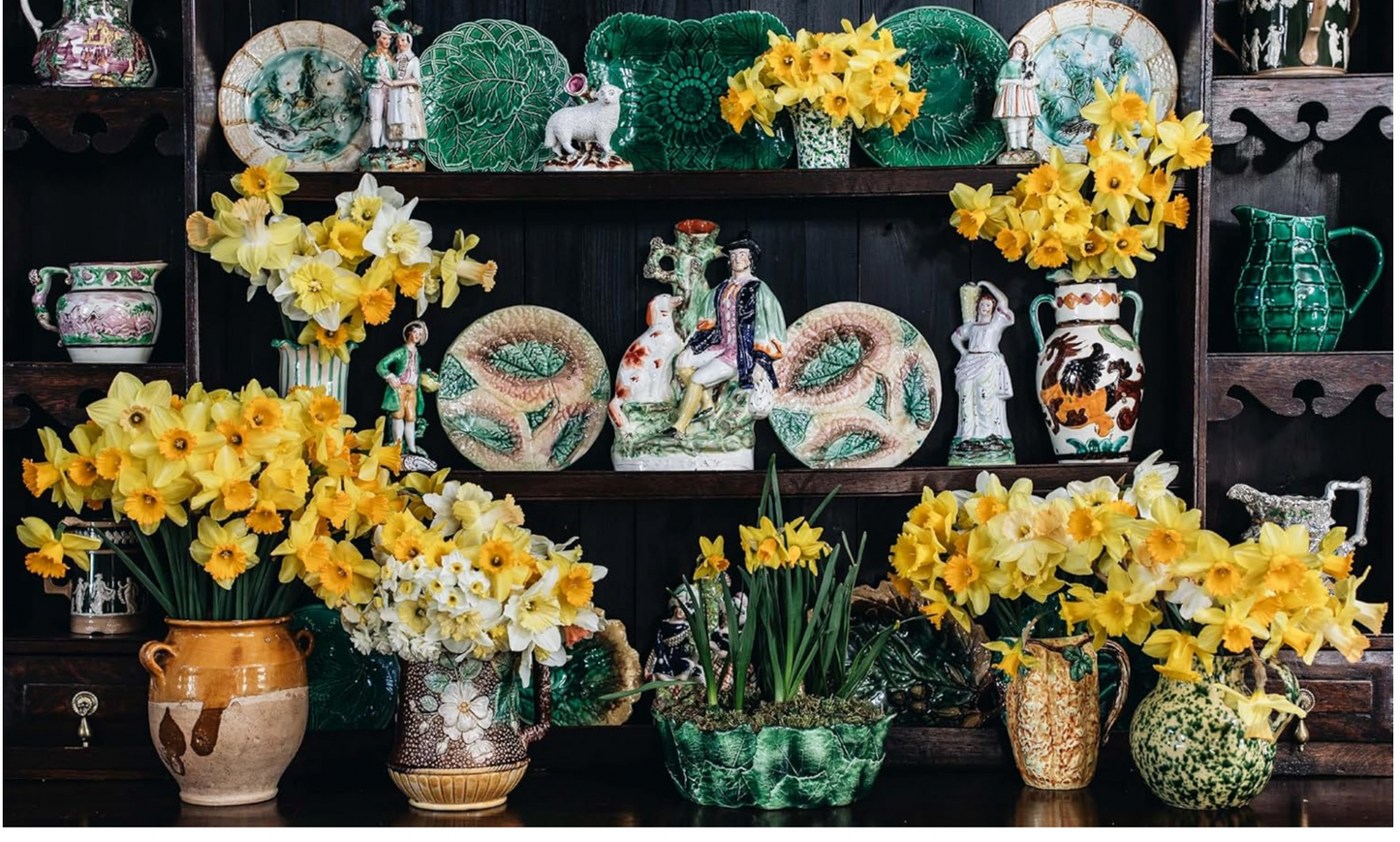 The Nature of Decorating by Jenny Rose-Innes
