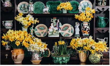 The Nature of Decorating by Jenny Rose-Innes